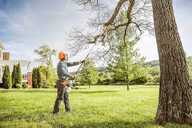 Best Storm Damage Tree Cleanup  in Metter, GA